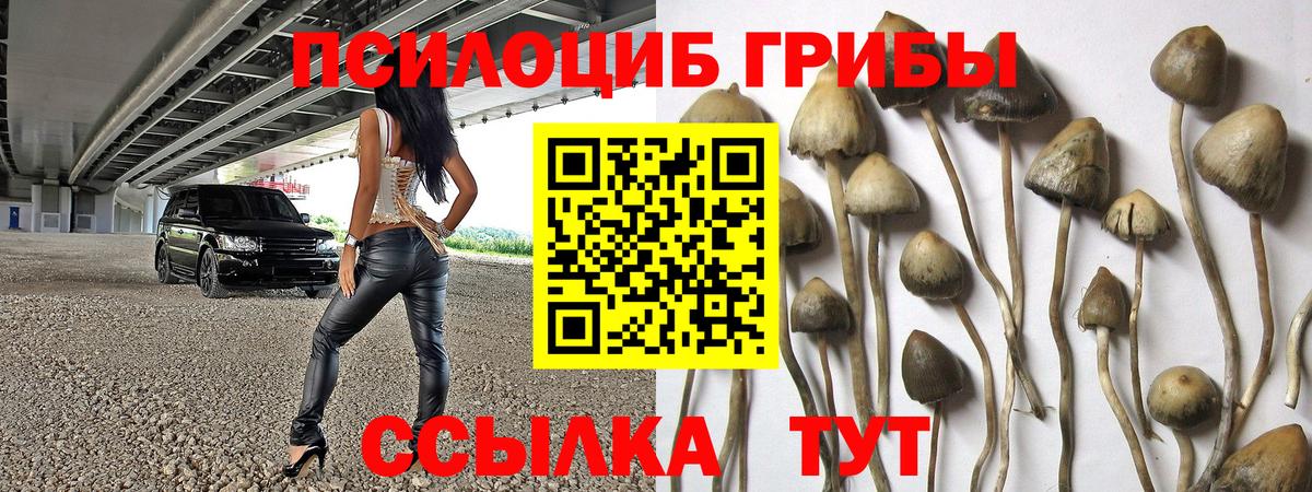 Псилоцибиновые грибы Psilocybine cubensis  где продают наркотики  Галлюциногенные грибы GOLDEN TEACHER  Касимов  Вход с VPN 
